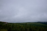 Les paysages proches des cotes on une aire de tundra.