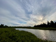 Réserve Naturel Birch Island