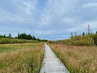 Réserve Naturel Birch Island